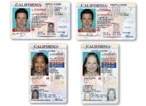 South African Drivers License Classifications